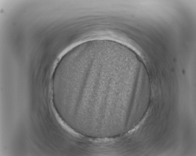 X0000078861526200611271359