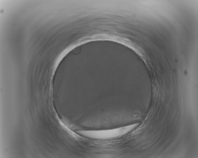 X0000078861527200611271359