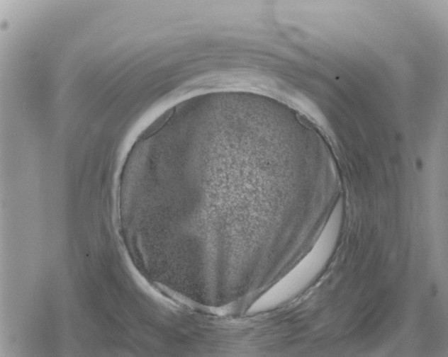 X0000078861528200611271359