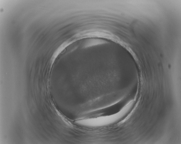 X0000078861529200611271359