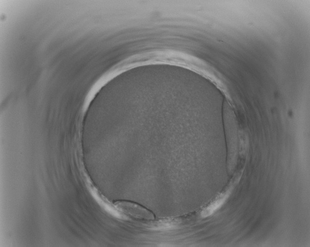 X0000078861530200611271359