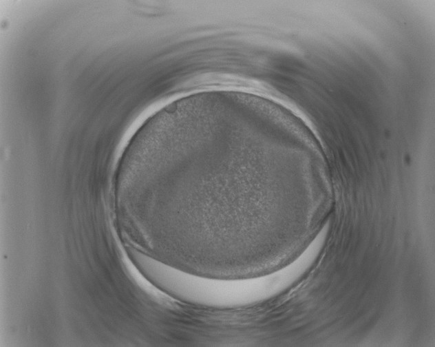 X0000078861531200611271359