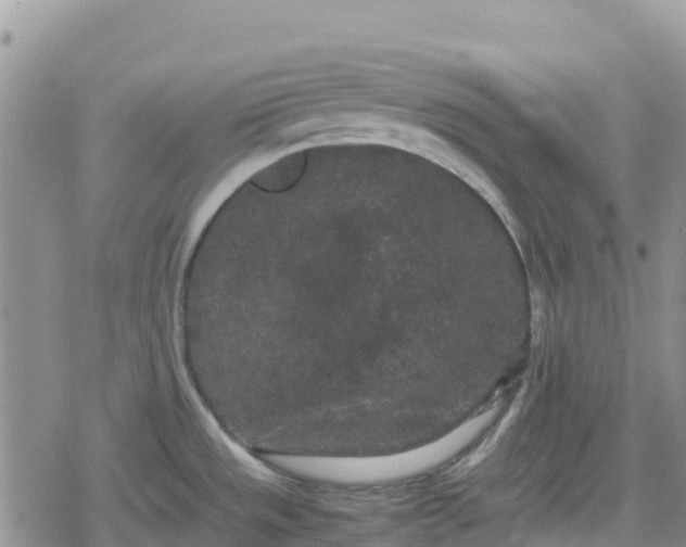 X0000078861533200611271359