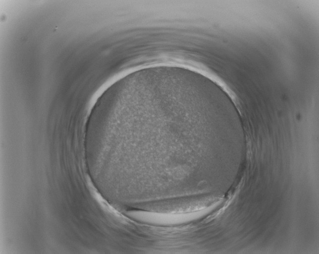 X0000078861534200611271359