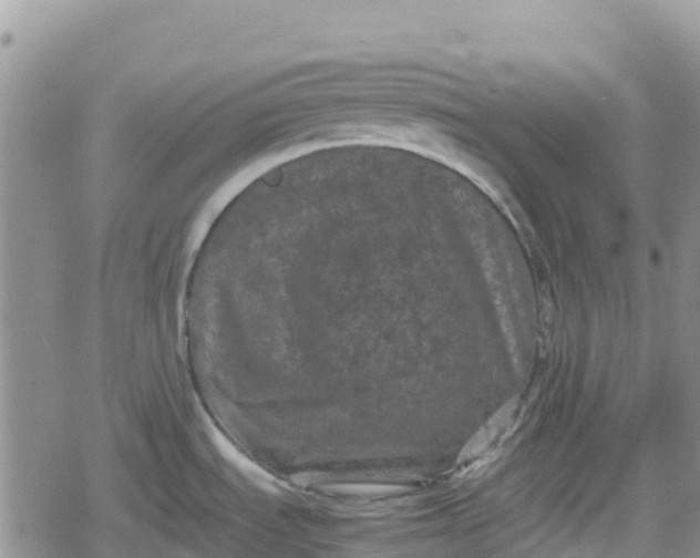 X0000078861535200611271359