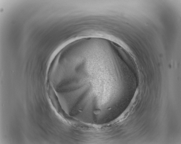 X0000078861536200611271359