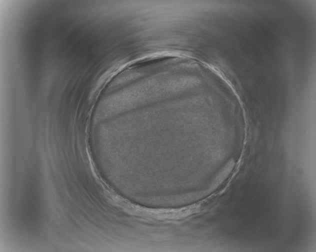 X0000078860001200612041944