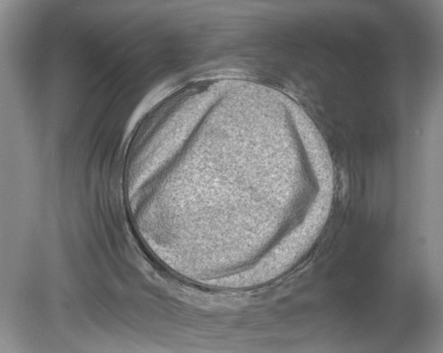X0000078860004200612041944