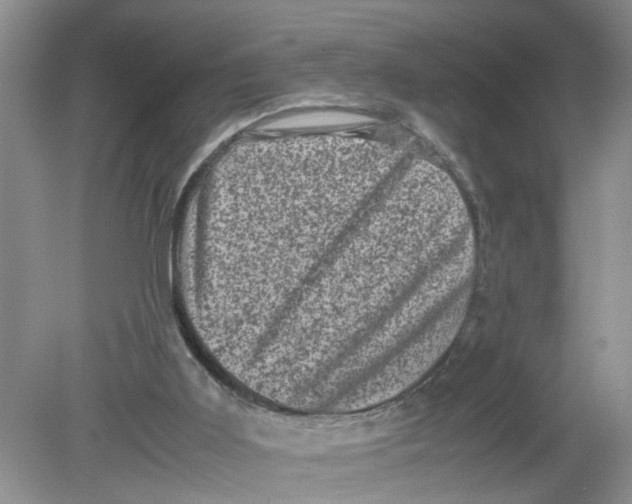 X0000078860011200612041944
