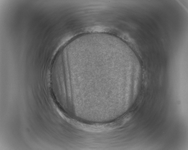 X0000078860012200612041944