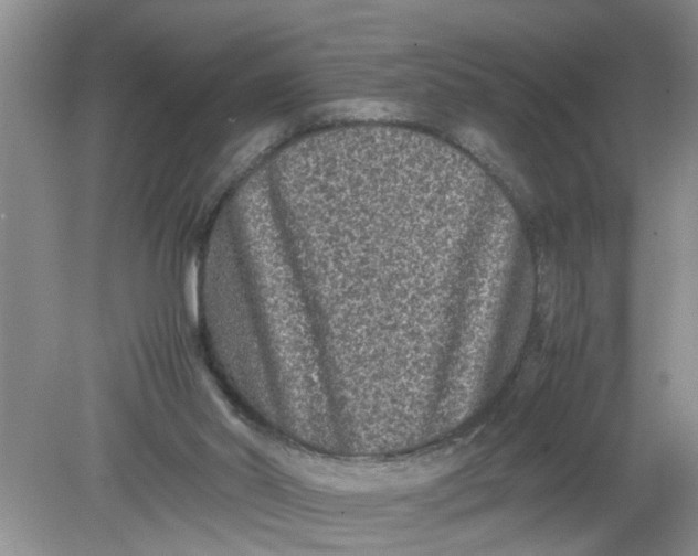 X0000078860014200612041944