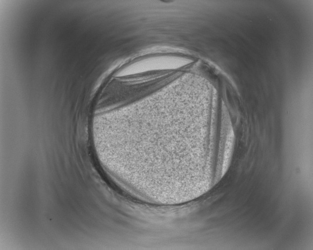 X0000078860015200612041944