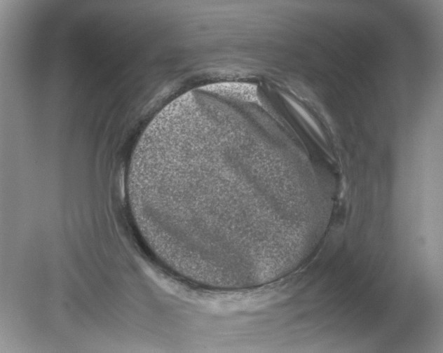 X0000078860021200612041944
