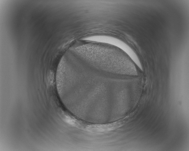 X0000078860025200612041944