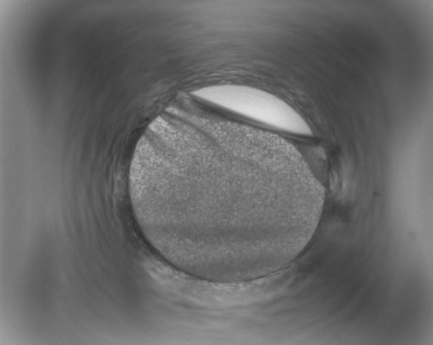 X0000078860037200612041944