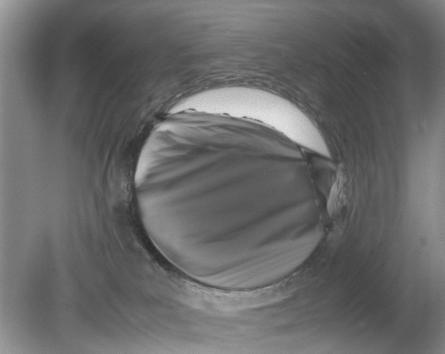 X0000078860039200612041943