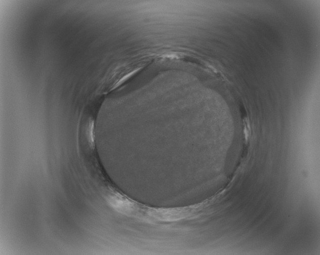 X0000078860041200612041943