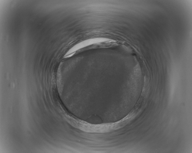 X0000078860048200612041943