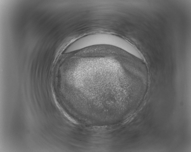 X0000078860049200612041943