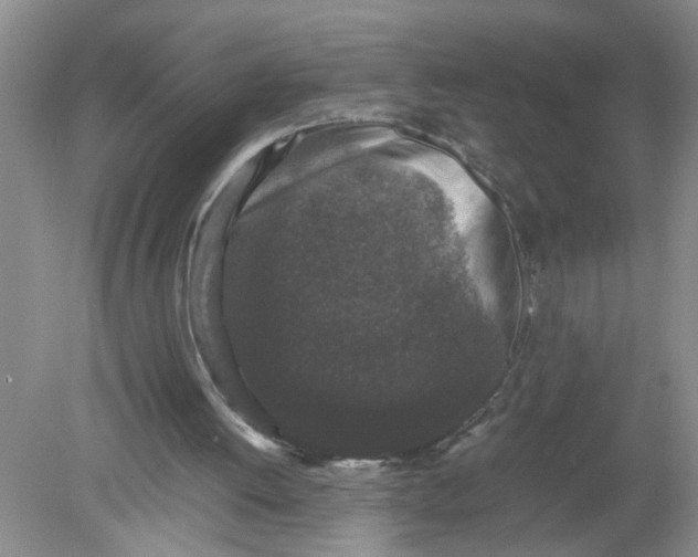 X0000078860052200612041943