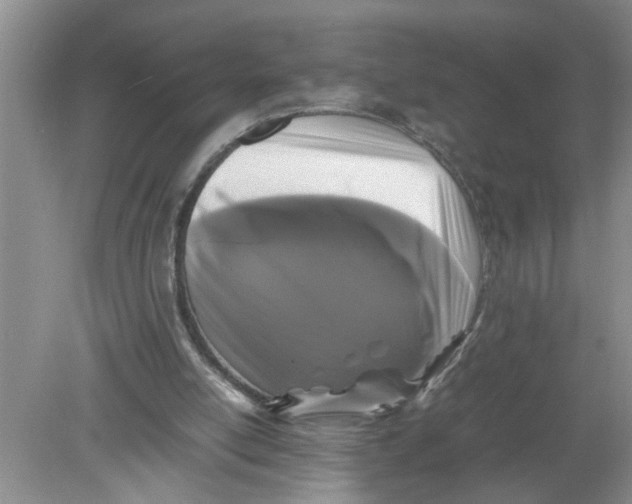 X0000078860054200612041943