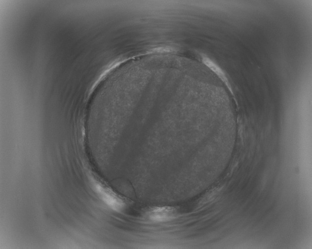 X0000078860059200612041943