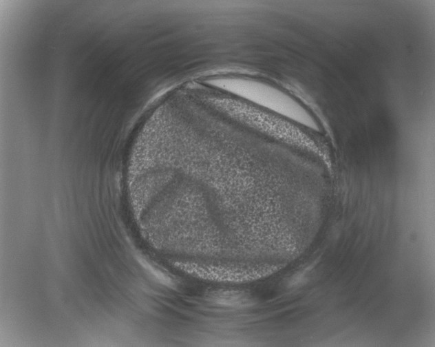 X0000078860063200612041943