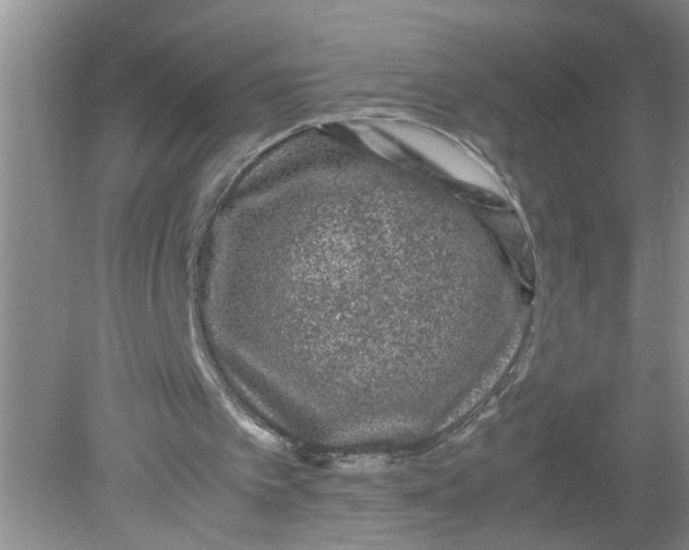 X0000078860097200612041942