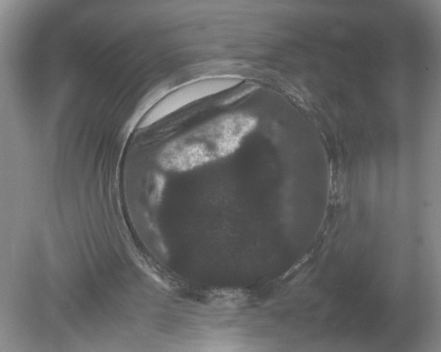 X0000078860099200612041942