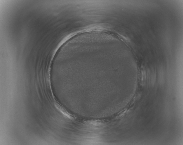 X0000078860100200612041942