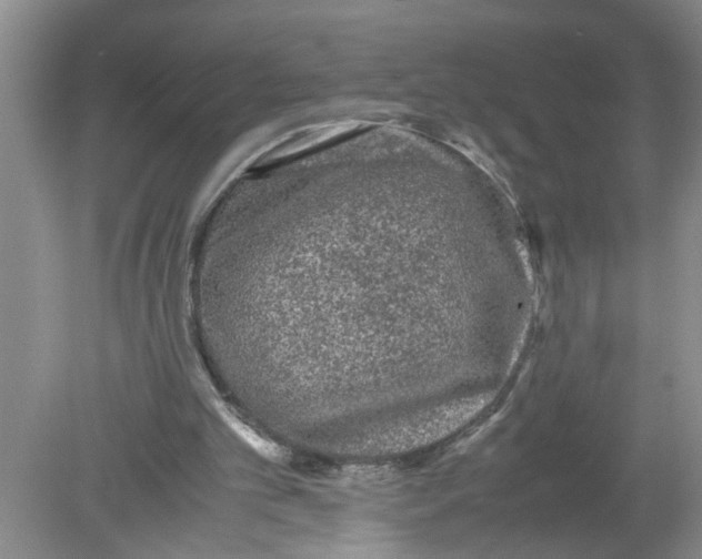 X0000078860101200612041942