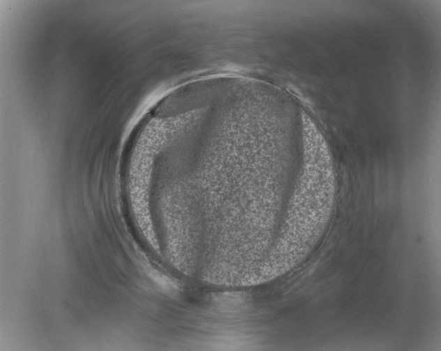 X0000078860102200612041942