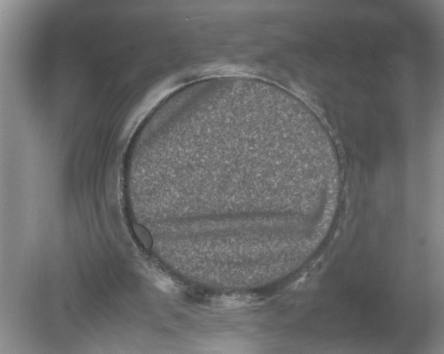 X0000078860103200612041942