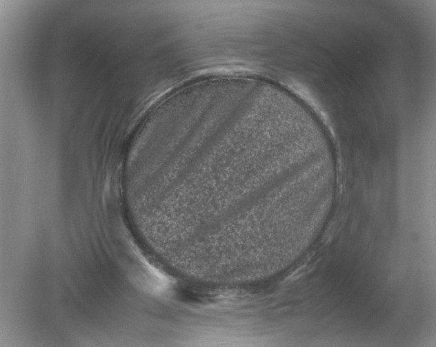 X0000078860105200612041942