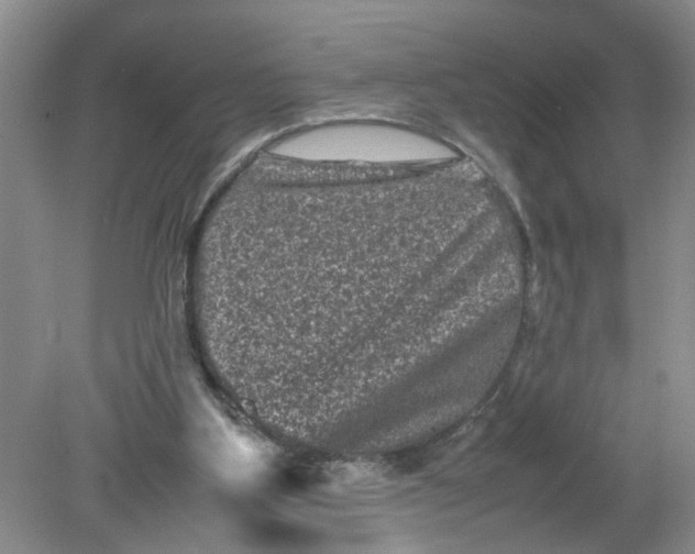 X0000078860107200612041942