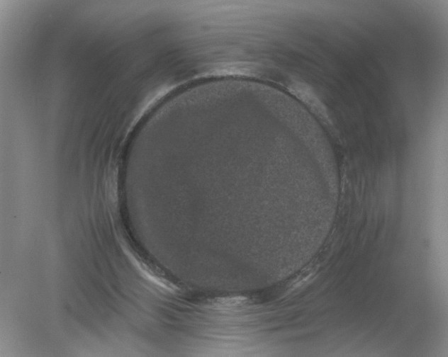 X0000078860108200612041942