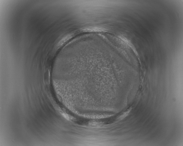 X0000078860109200612041942