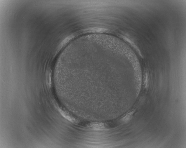 X0000078860110200612041942