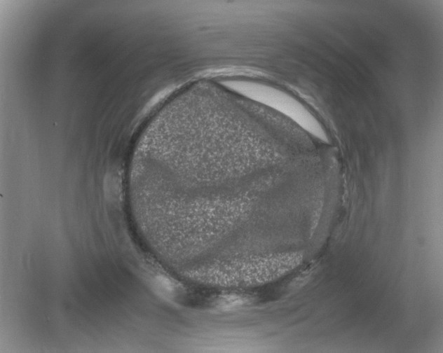 X0000078860111200612041942