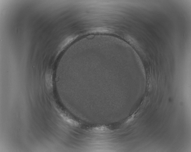 X0000078860112200612041942