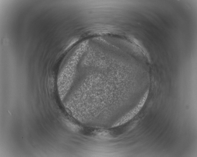 X0000078860113200612041942