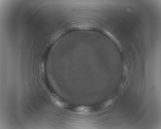 X0000078860117200612041942