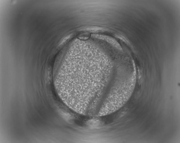 X0000078860119200612041942