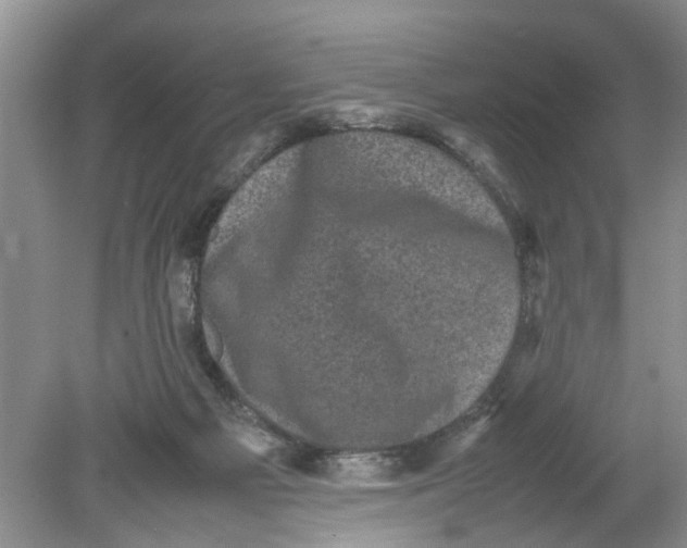 X0000078860121200612041942