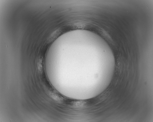 X0000078860122200612041942