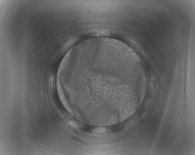 X0000078860123200612041942