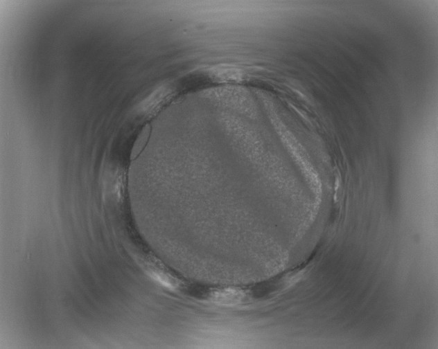 X0000078860125200612041942