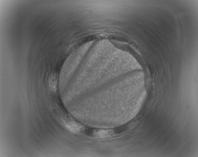 X0000078860129200612041942