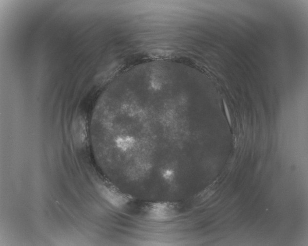 X0000078860130200612041942