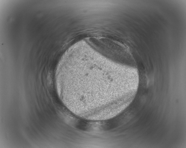 X0000078860131200612041942